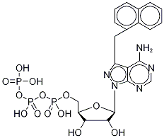 4--3-(1-׻)-1H-[3,4-d]-1-(-d-߻ˁ-5-)Y(ji)(gu)ʽ_476371-81-0Y(ji)(gu)ʽ